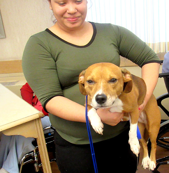 Pet Therapy with Bella