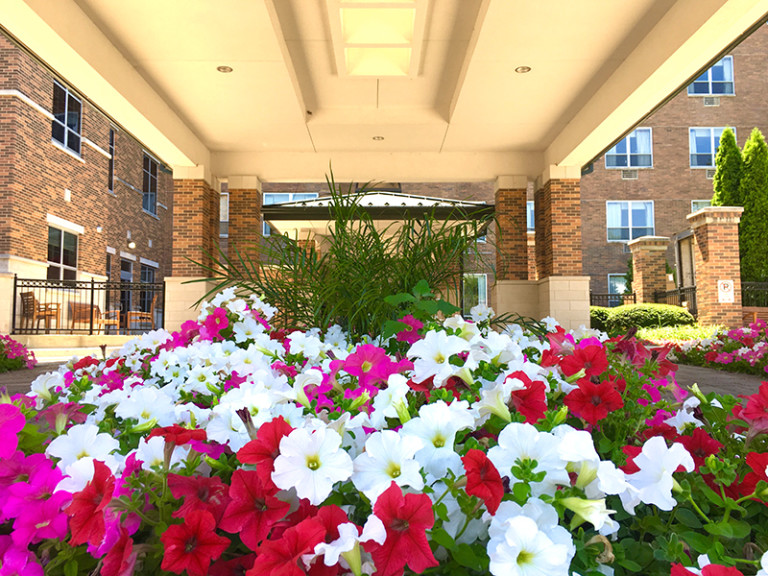 Summertime Beauty and Nature at Regency